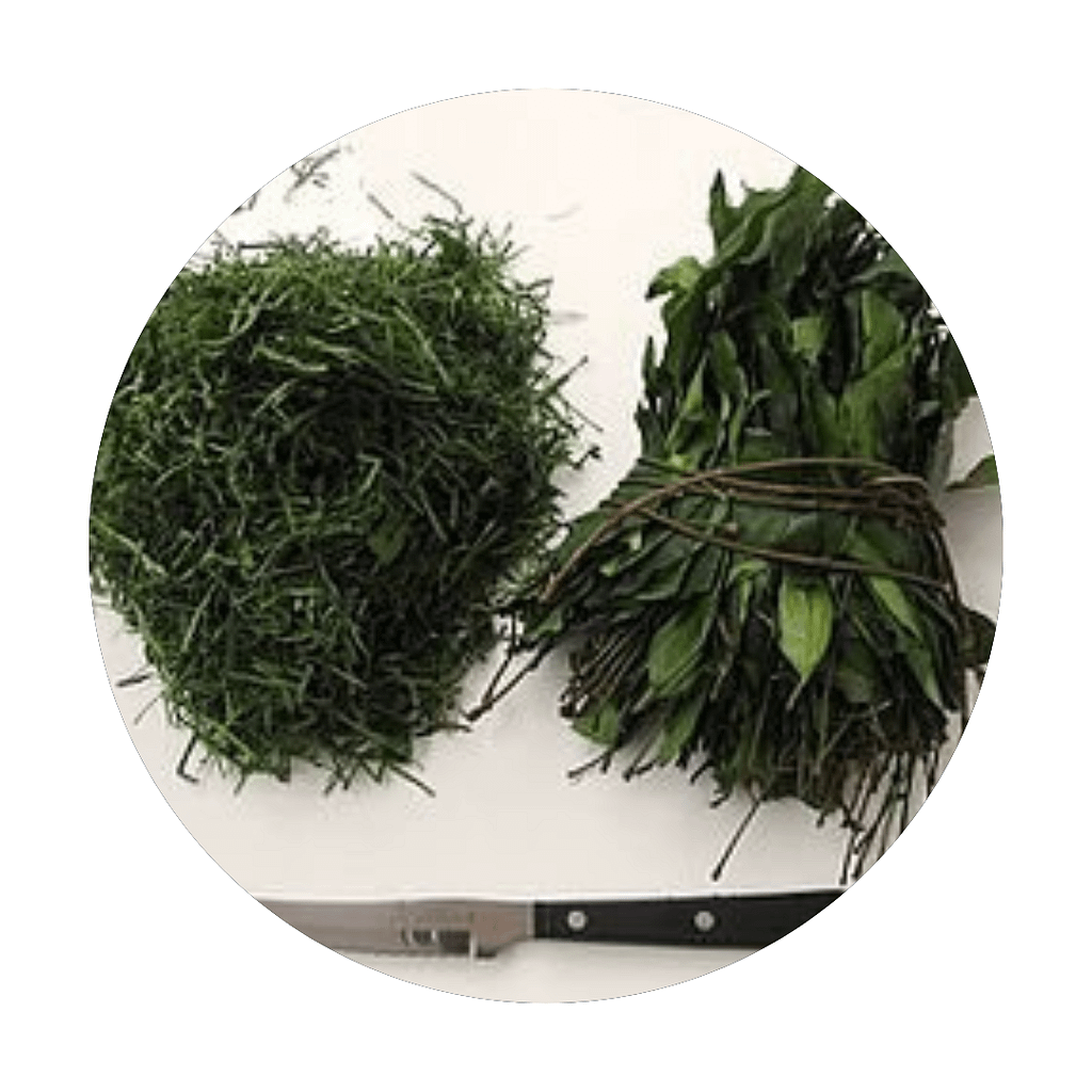 Fresh-Afang-Leaves