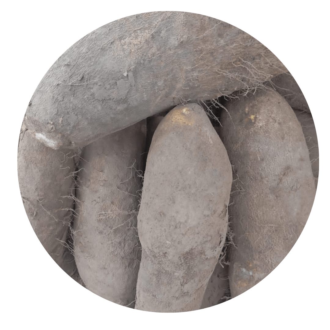 Benue-yam