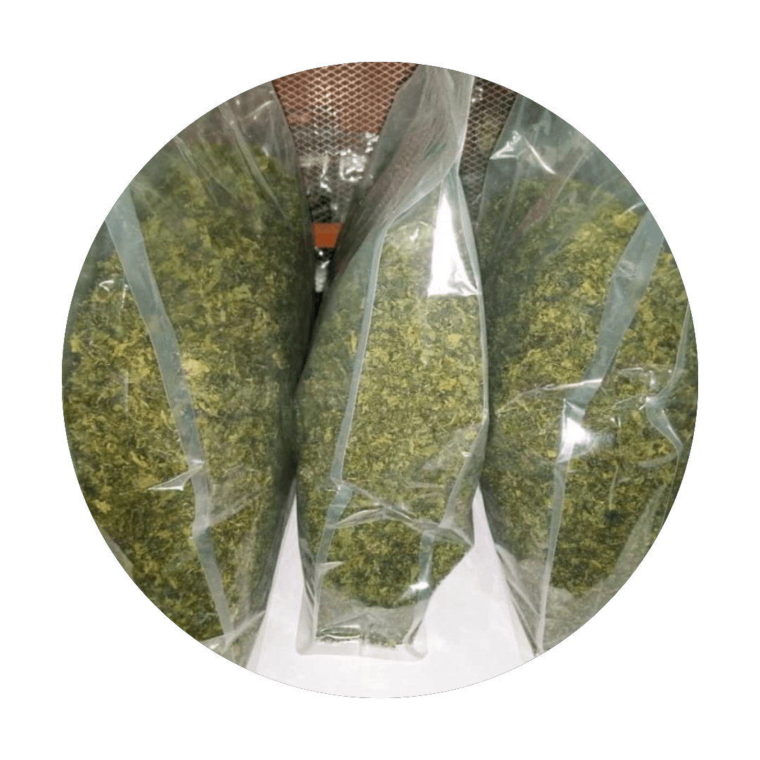 dehydrated-afang-leaves