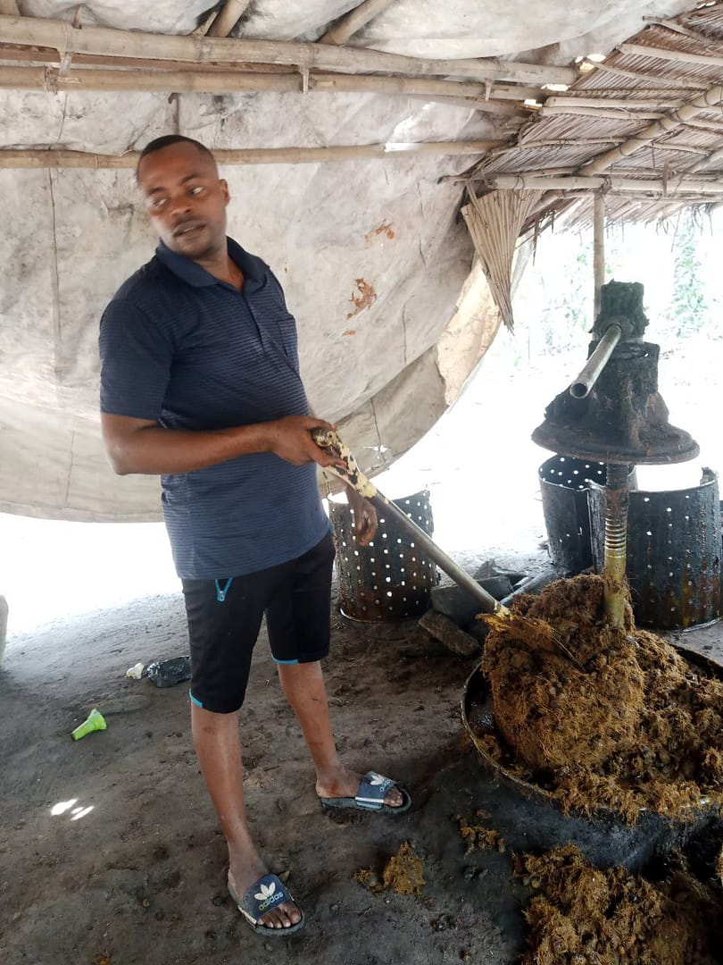 whu-dey-sell-palmoil-mill